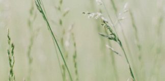 Suivez le flux avec nous