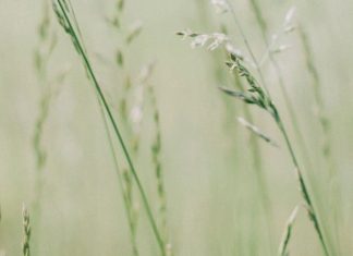 Suivez le flux avec nous