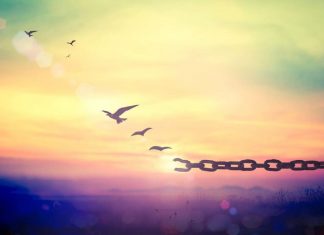 Comment être « libre » dans le monde dans lequel nous évoluons ?