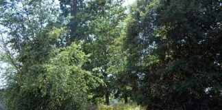 Il suffit de demander