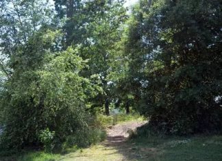 Il suffit de demander