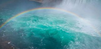 Les Anges : Le Processus