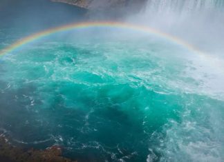 Les Anges : Le Processus