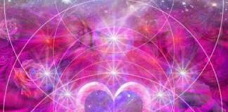 Donnez du Pouvoir à la Sagesse Divine dans Votre Cœur