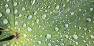 Vous êtes digne d’être guidé