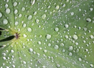 Vous êtes digne d’être guidé