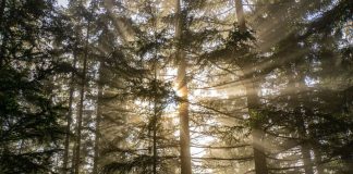 Pratique 12 – Se souvenir de la sécurité collective