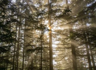 Pratique 12 – Se souvenir de la sécurité collective