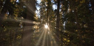 Remerciez-Les Pour La Façon Dont Ils Vous Aident