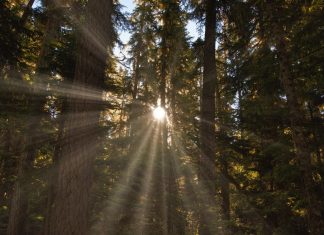 La Lumière que vous êtes éclaire la peur
