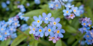 Pratique 6 – Laissez-moi vous voir tel que vous êtes