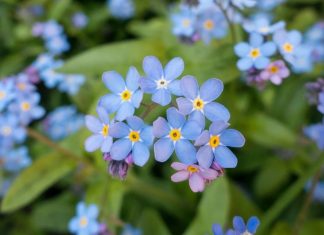 Pratique 6 – Laissez-moi vous voir tel que vous êtes