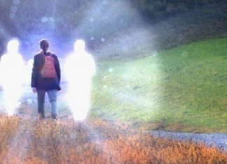 Le Créateur – Participer