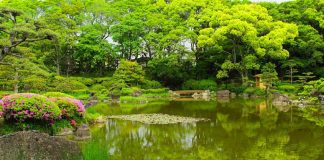 Vous Êtes de Grandes Âmes Choisies !