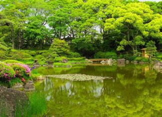 Vous Êtes de Grandes Âmes Choisies !
