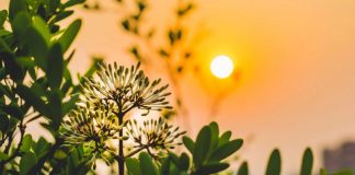 Vos ennemis sont prévenants