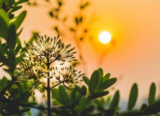 Vos ennemis sont prévenants