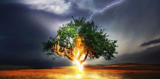 Un souffle puissant va irradier ce qui doit l’être