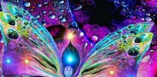 Hilarion : Mise à Jour – Mars 2019