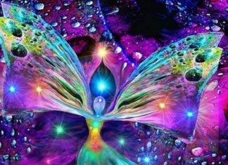 Hilarion : Mise à Jour – Mars 2019