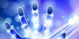 Le Créateur – Prenez-le et Commencez !