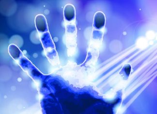 Le Créateur – Prenez-le et Commencez !