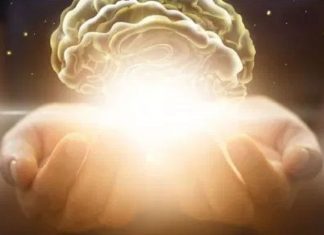 Le Créateur – Votre Force et votre Courage