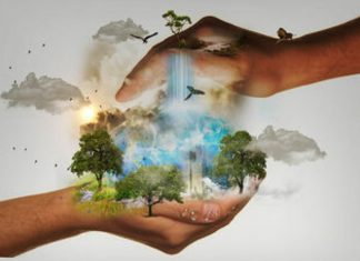 Guidances aux Maîtres en Conscience #14