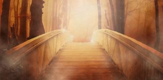 Le Groupe ~ Le nouveau Paradigme Masculin