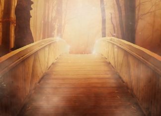 Le Groupe ~ Le nouveau Paradigme Masculin