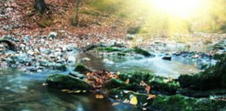 Conscient du Mouvement et de la Lumière