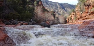 Le flux ne fait pas de mal