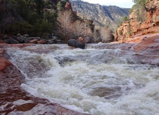 Écoutez les Impulsions d’Amour