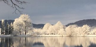 Alignements et codes de l’ADN Cristallin : Le modèle original de la création Divine émerge à l’équinoxe en mars 2019