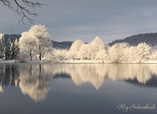 Alignements et codes de l’ADN Cristallin : Le modèle original de la création Divine émerge à l’équinoxe en mars 2019