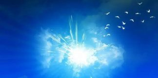 La Qualité d’Amour connue sous le nom de «Épanouissement»