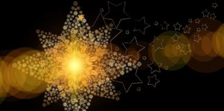 Le Créateur – Vous êtes une Star !