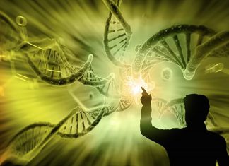 Chemin d’évolution !