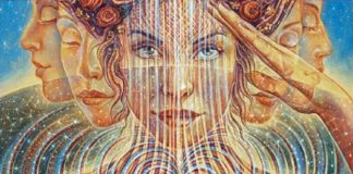 Le Créateur – Le Temps de Trier…..