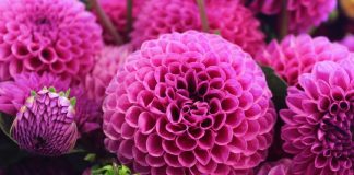 Entre deux mondes…