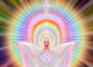 La réalité dévoilée sur le Conseil des Neuf