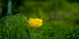 Le Processus Relationnel – Jour 1 – Sentiment d’être à l’écoute