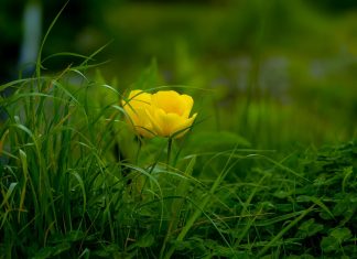 Des êtres réels et égaux