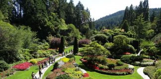 Vous guidez vers l’amour