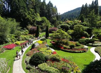 Vous guidez vers l’amour