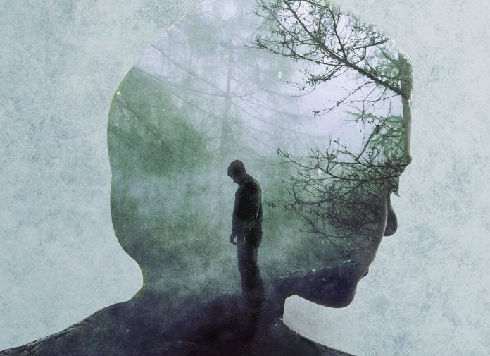 La-fille-dans-le-brouillard-Donato-Carrisi