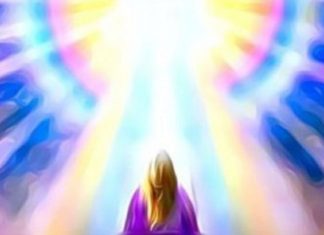 Transmutation, Accueil, Êtreté