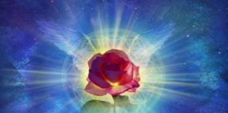 Votre temple, votre Coeur, est la plus belle architecture Céleste…