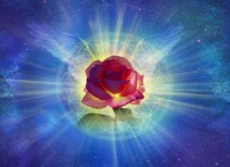 Votre temple, votre Coeur, est la plus belle architecture Céleste…