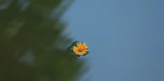 L’effort cède la place à la fluidité